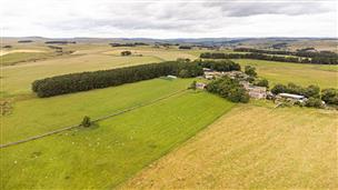 39.85 acres, Old Town Farm, Otterburn, Northumberland - UKLAF