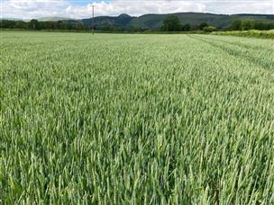 117.07 Acres, Land At Evenjobb, Walton, Powys, Herefordshire - Uklaf